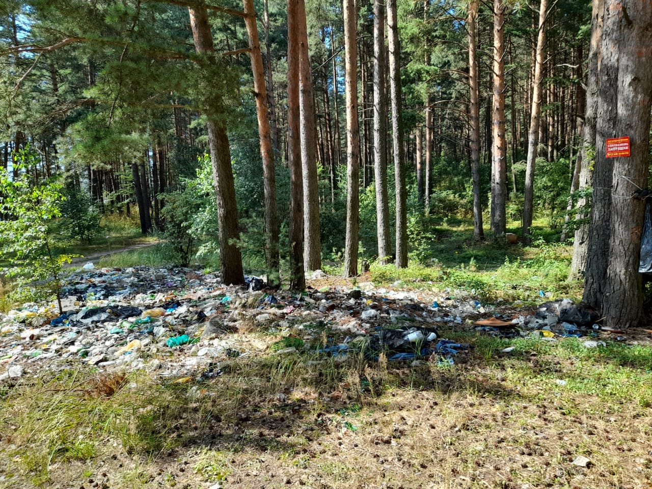 Свалка тбо тверская область. Несанкционированные свалки.